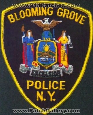 Blooming Grove Police
Thanks to EmblemAndPatchSales.com for this scan.
Keywords: new york