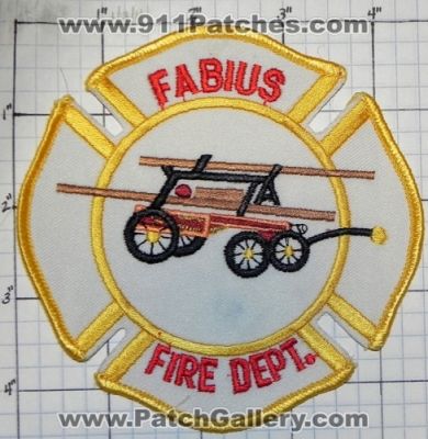 Fabius Fire Department (New York)
Thanks to swmpside for this picture.
Keywords: dept.