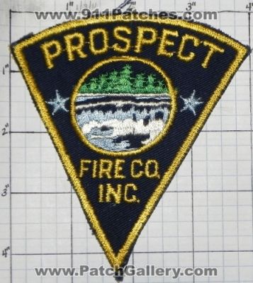 Prospect Fire Company Inc (New York)
Thanks to swmpside for this picture.
Keywords: co. inc.