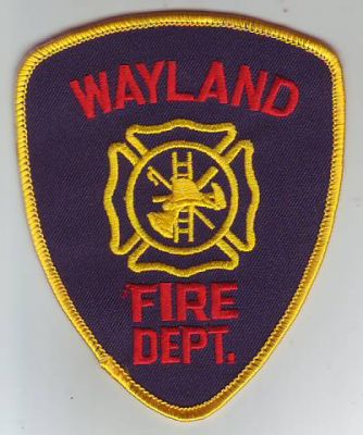 Wayland Fire Department (Michigan)
Thanks to Dave Slade for this scan.
Keywords: dept