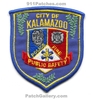 Kalamazoo-DPS-v2-MIFr.jpg