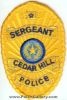 Filename=Cedar_Hill_Sergeant_TXPr.jpg
Filesize=63KiB
Dimensions=335x500
Date added=Nov 16, 2009 Cedar_Hill_Sergeant_TXPr.jpg