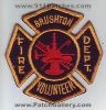 Brushton_Volunteer_Fire_Dept_Patch_New_York_Patches_NYF.JPG