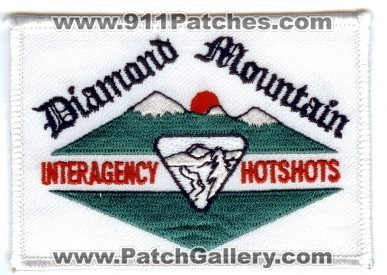 Diamond Mountain Interagency HotShots Wildland Fire (California)
Thanks to PaulsFirePatches.com for this scan.

