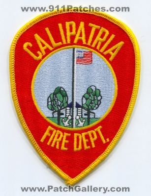 Calipatria Fire Department Patch (California)
Scan By: PatchGallery.com
Keywords: dept.