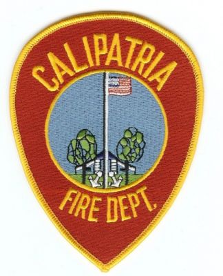 Calipatria Fire Dept
Thanks to PaulsFirePatches.com for this scan.
Keywords: california department