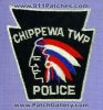 Chippewa-Twp-PAP.jpg