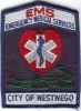 Filename=Westwego_EMS_LAE.JPG
Filesize=35KiB
Dimensions=293x400
Date added=Feb 16, 2007 Westwego_EMS_LAE.JPG