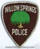 Willow_Springs_2_ILP.JPG