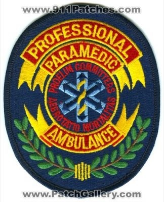Professional Paramedic Ambulance Patch (Colorado)
[b]Scan From: Our Collection[/b]
Keywords: ems