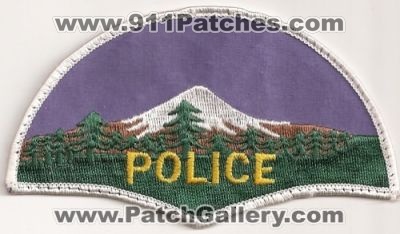 Bellingham Police (Washington)
Thanks to Police-Patches-Collector.com for this scan.
