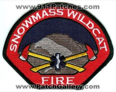 Snowmass Wildcat Fire Patch (Colorado)
[b]Scan From: Our Collection[/b]
