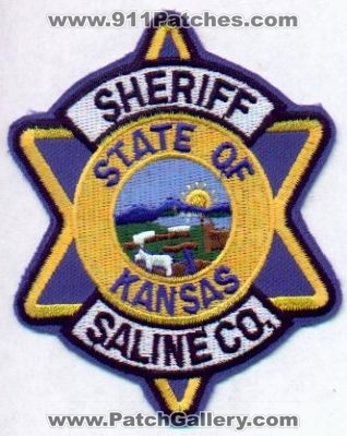 Saline County Sheriff
Thanks to EmblemAndPatchSales.com for this scan.
Keywords: kansas