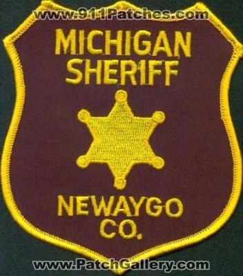 Newaygo County Sheriff
Thanks to EmblemAndPatchSales.com for this scan.
Keywords: michigan