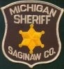 Saginaw_Co_1_MI.JPG