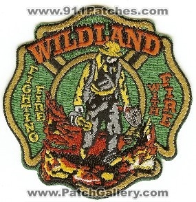 New York State Wildland Firefighting
Thanks to PaulsFirePatches.com for this scan.
