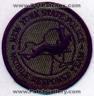 New York State Police Mobile Response Team
Thanks to EmblemAndPatchSales.com for this scan.
Keywords: nysp