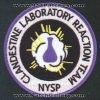Filename=New_York_State_Clad_Lab_NY.JPG
Filesize=46KiB
Dimensions=416x416
Date added=Sep 07, 2006 New_York_State_Clad_Lab_NY.JPG