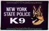 New_York_State_K9_2_NY.JPG