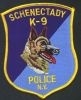 Schenectady_K9_NY.JPG