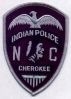 Cherokee_Indian_2_NC.JPG