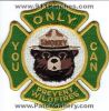Smokey-The-Bear-Fire-Patch-South-Carolina-Patches-SCFr.jpg