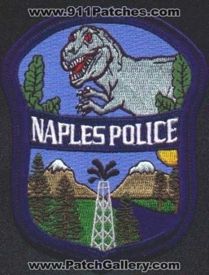 Naples Police
Thanks to EmblemAndPatchSales.com for this scan.
Keywords: utah