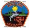 Skyline-Ambulance-EMS-Patch-Washington-Patches-WAEr.jpg