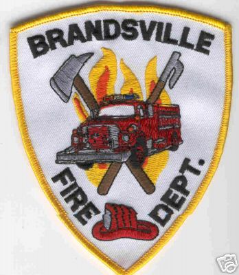 Brandsville Fire Dept
Thanks to Brent Kimberland for this scan.
Keywords: missouri department