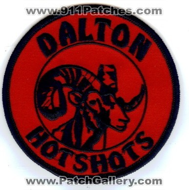 Dalton HotShots Wildland Fire (California)
Thanks to PaulsFirePatches.com for this scan.
