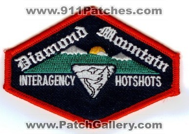 Diamond Mountain Interagency HotShots Wildland Fire (California)
Thanks to PaulsFirePatches.com for this scan.
