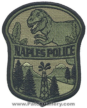 Naples Police Department (Utah)
Thanks to Alans-Stuff.com for this scan.
Keywords: dept.