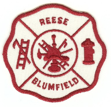 Reese Blumfield
Thanks to PaulsFirePatches.com for this scan.
Keywords: michigan fire