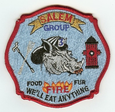 Salem Group 3 Fire
Thanks to PaulsFirePatches.com for this scan.
Keywords: new hampshire