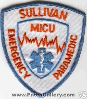 Sullivan Emergency Paramedic MICU (Illinois)
Thanks to Brent Kimberland for this scan.
Keywords: ems