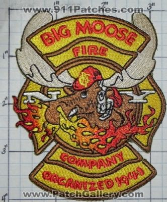 Big Moose Fire Company (New York)
Thanks to swmpside for this picture.
