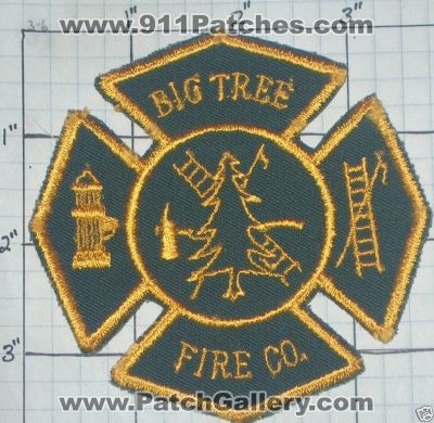 Big Tree Fire Company (New York)
Thanks to swmpside for this picture.
Keywords: co.