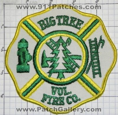 Big Tree Volunteer Fire Company (New York)
Thanks to swmpside for this picture.
Keywords: vol. co.