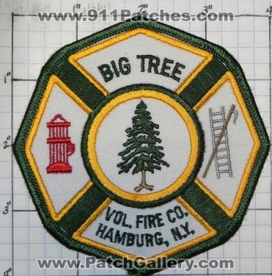 Big Tree Volunteer Fire Company (New York)
Thanks to swmpside for this picture.
Keywords: vol. co. hamburg n.y.