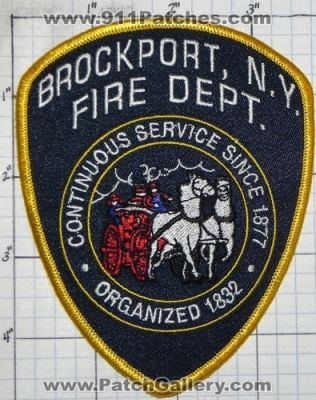 Brockport Fire Department (New York)
Thanks to swmpside for this picture.
Keywords: dept.