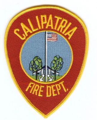Calipatria Fire Dept
Thanks to PaulsFirePatches.com for this scan.
Keywords: california department