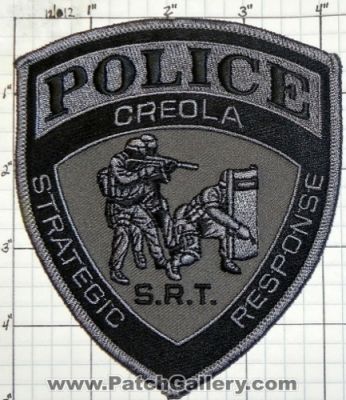 Creola Police Department SRT (Alabama)
Thanks to swmpside for this picture.
Keywords: dept. s.r.t. strategic response team