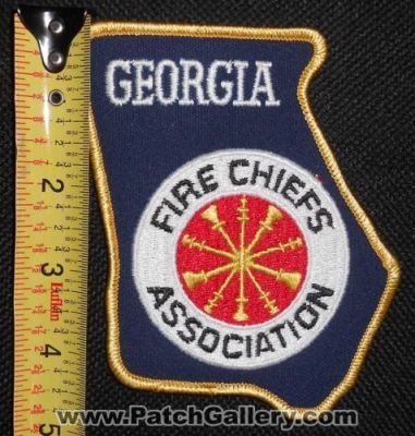 Georgia Fire Chiefs Association (Georgia)
Thanks to Matthew Marano for this picture.
