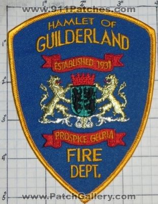 Hamlet of Guilderland Fire Department (New York)
Thanks to swmpside for this picture.
Keywords: dept.