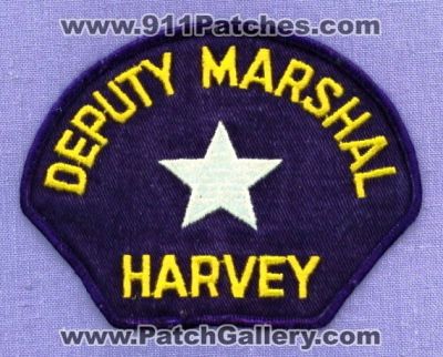 Harvey Marshal Deputy (Kansas)
Thanks to apdsgt for this scan.

