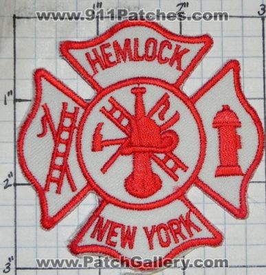 Hemlock Fire Department (New York)
Thanks to swmpside for this picture.
Keywords: dept.