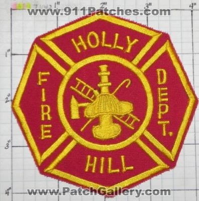 Holly Hill Fire Department (Florida)
Thanks to swmpside for this picture.
Keywords: dept.