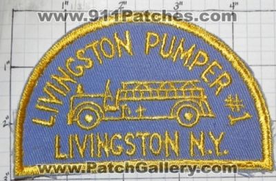 Livingston Fire Pumper Number 1 (New York)
Thanks to swmpside for this picture.
Keywords: #1 n.y.