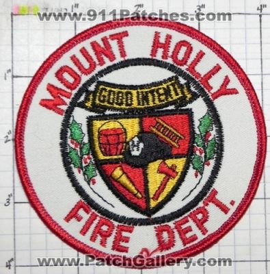 Mount Holly Fire Department (North Carolina)
Thanks to swmpside for this picture.
Keywords: dept. mt.