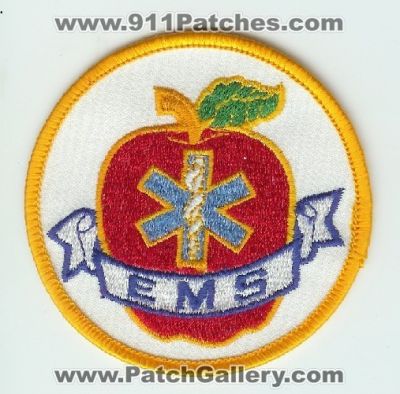 New York State Emergency Medical Services (New York)
Thanks to Mark C Barilovich for this scan.
Keywords: ems